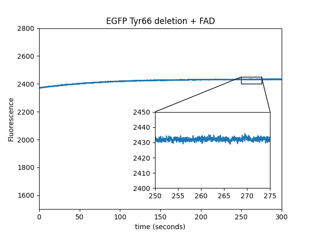 EGFP beads control figure