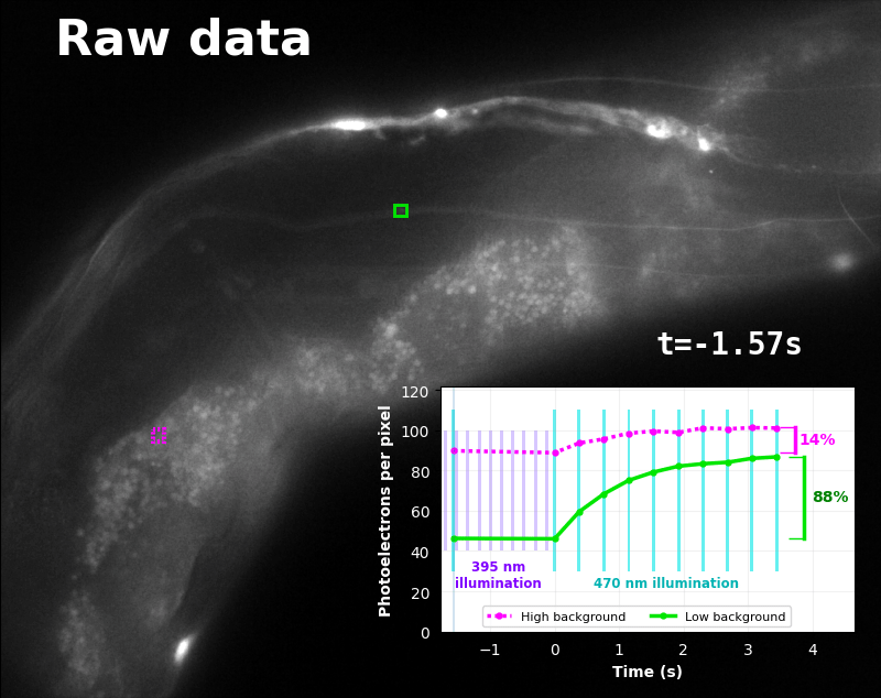 Autofluorescence data figure