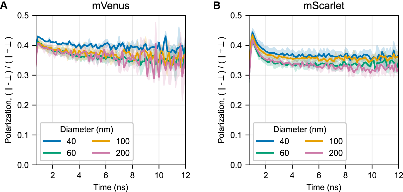Time-resolved fluorescence anisotropy data to assess quality of bead labeling